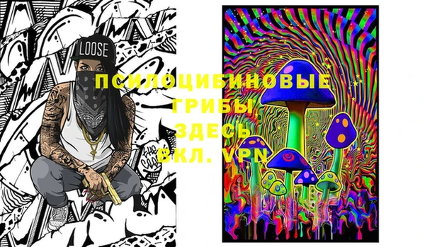 PSILOCYBIN Аша