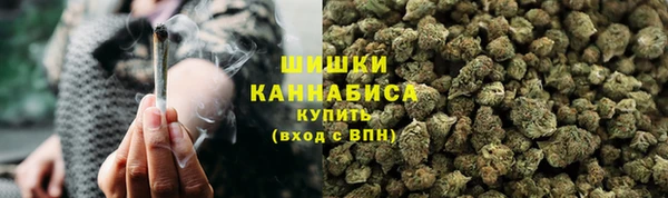 PSILOCYBIN Аша