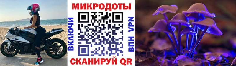 закладки  Талдом  Галлюциногенные грибы мицелий 